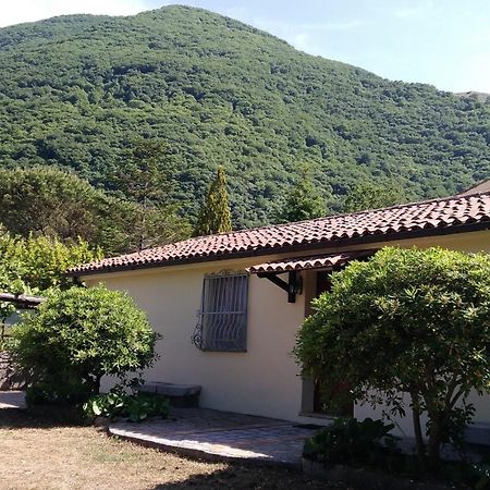 تريكينا Agriturismo Collevento المظهر الخارجي الصورة
