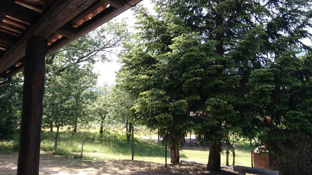 تريكينا Agriturismo Collevento المظهر الخارجي الصورة