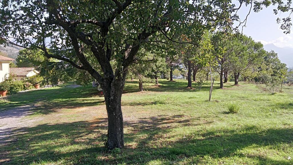 تريكينا Agriturismo Collevento المظهر الخارجي الصورة